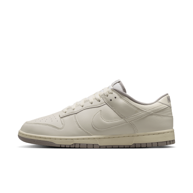 Nike Dunk Low Retro HF5441-010