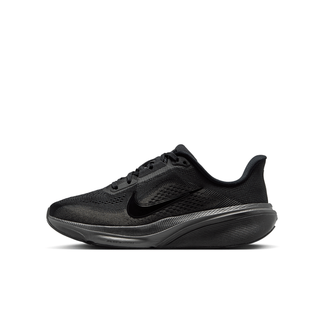 Nike Pegasus 42 Big Kids' Road IH2306-003