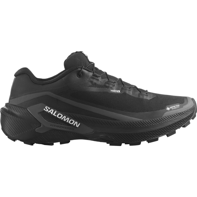 Salomon Genesis 2 Gtx  L49300300