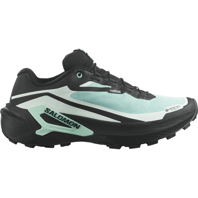 Salomon Genesis 2 Gtx W  L45388100
