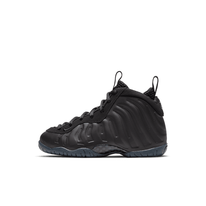 Nike Air Foamposite One Anthracite 2020 (PS)