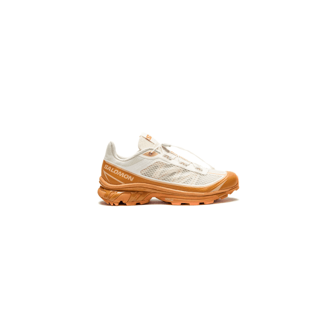 Salomon XT-6 FT