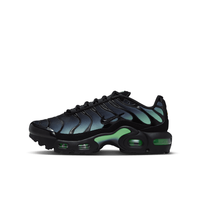Nike Air Max Plus Older Kids'