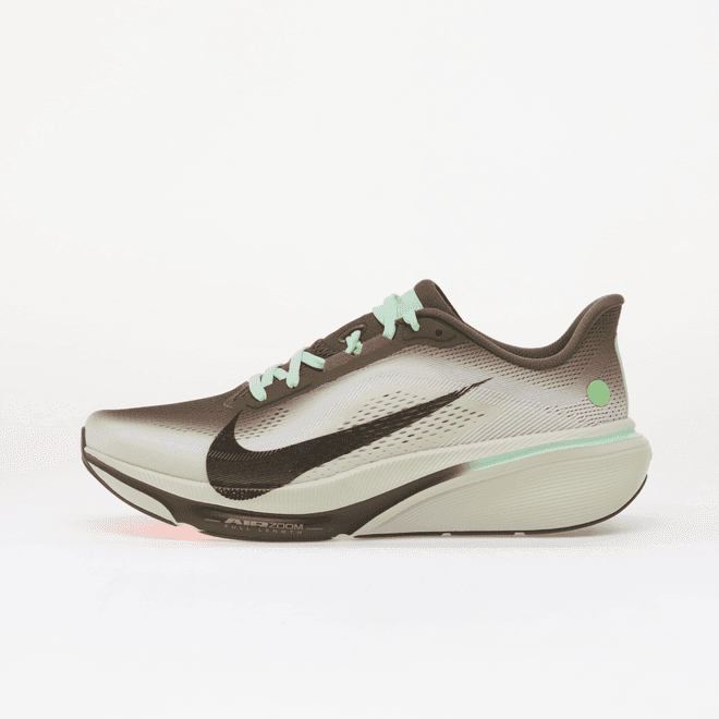 Nike Pegasus 42 Ironstone