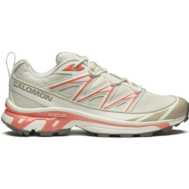 Salomon Xt-6 Expanse