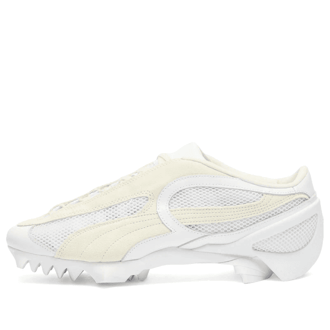 Puma Beisser