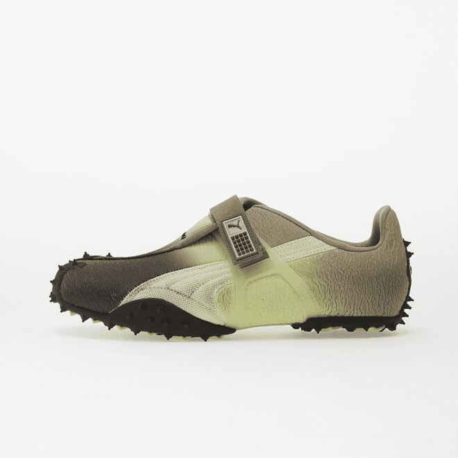Puma RPT-2 Biology Experiment Wabi-Sabi