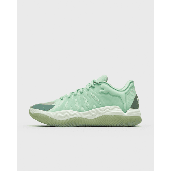 Puma Hali 1
