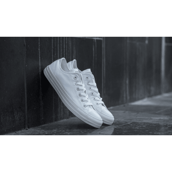 Converse Chuck Taylor All Star Seasonal White Monoch