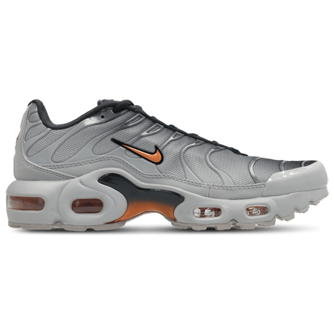 Nike Tuned Grey