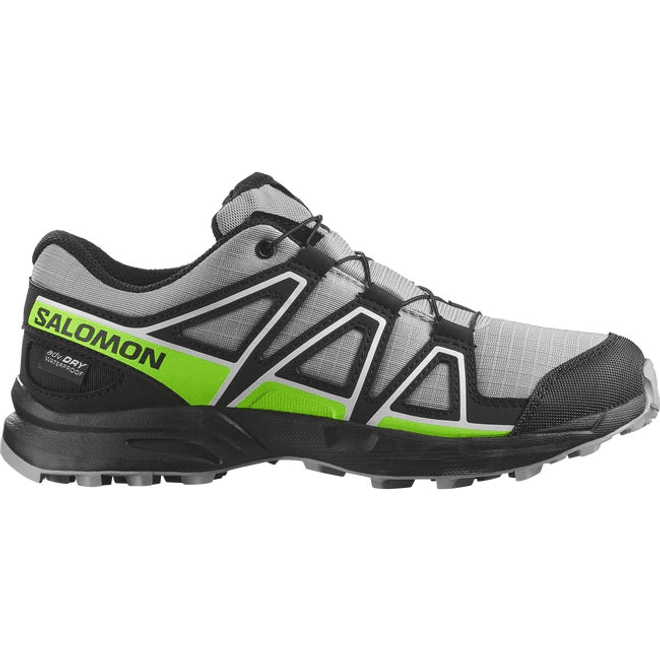 Salomon Speedcross Waterproof Alloy