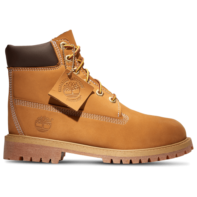 Timberland Waterproof 6" Boots