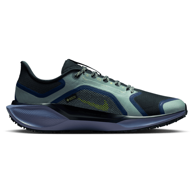 Nike Air ZOOM Pegasus 41 GTX 'Cannon'