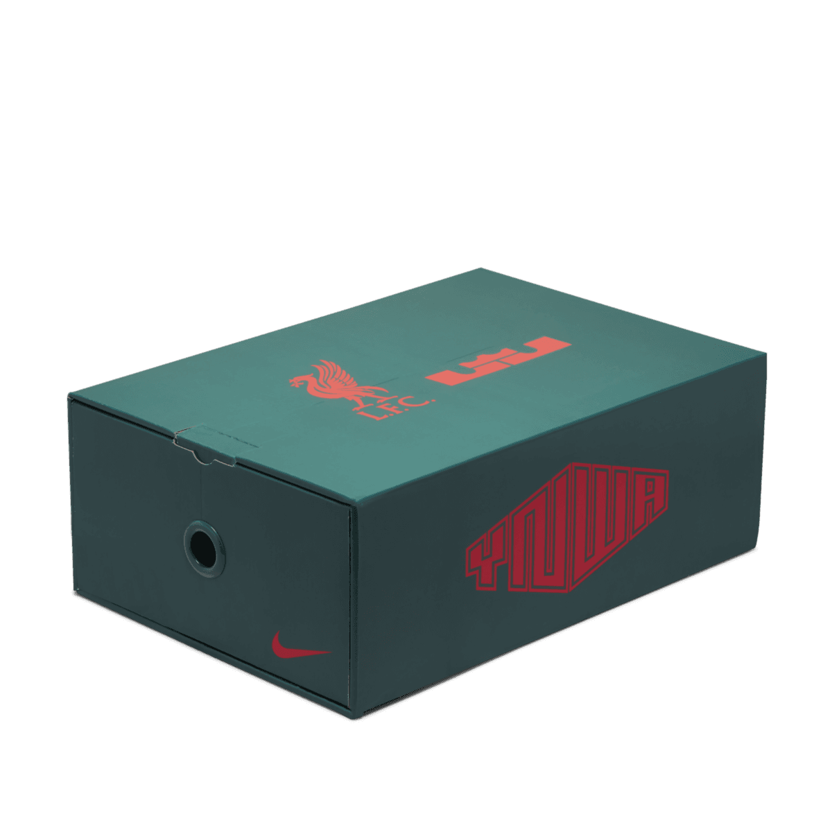 LeBron x Liverpool x Nike Air Max 1