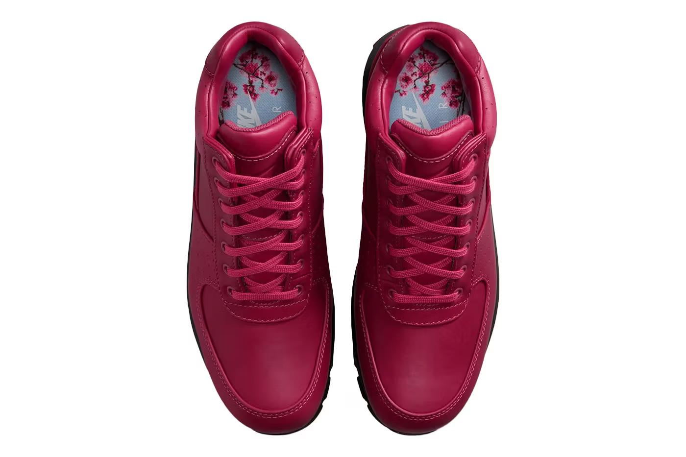 Nike Air Max Goadome DMV