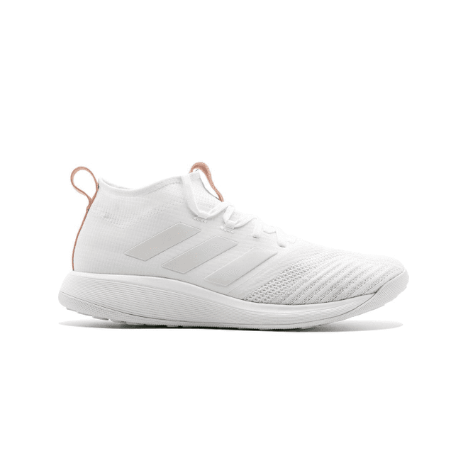 Adidas Ace 17+ Kith TR