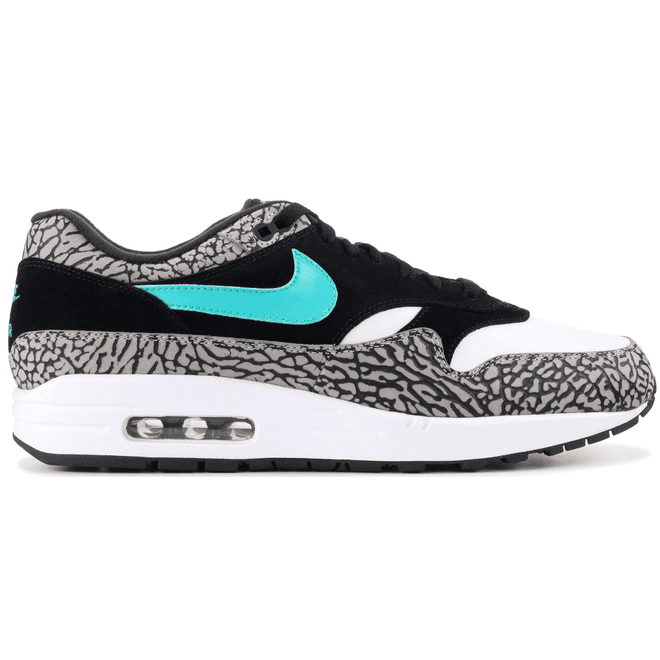 Nike Air Max 1 Atmos x Jordan