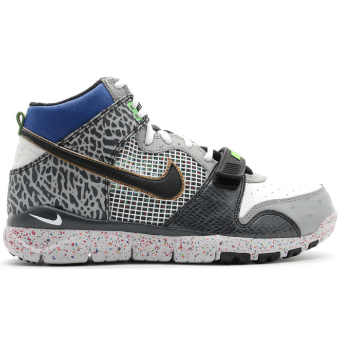 Nike Trainer Dunk High mita