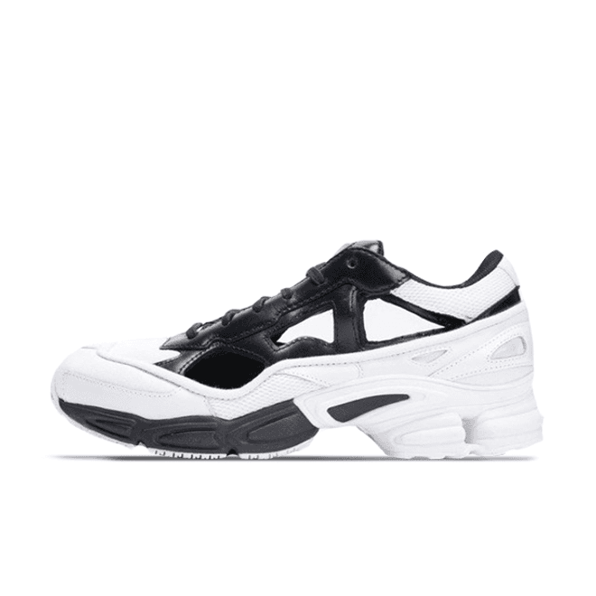 adidas x Raf Simons Replicant Ozweego 'Black/White'