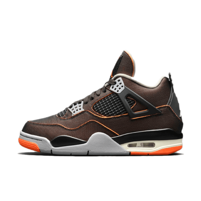 Air Jordan 4 WMNS SE 'Starfish'