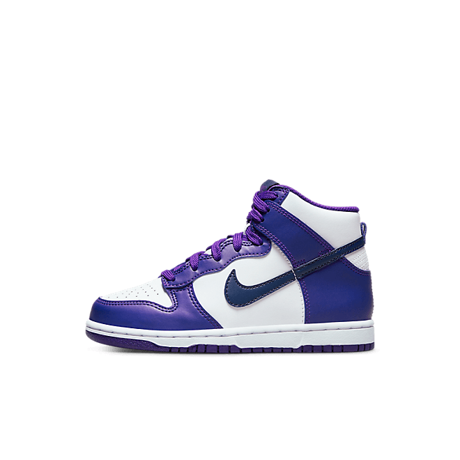 Nike Kids Dunk High