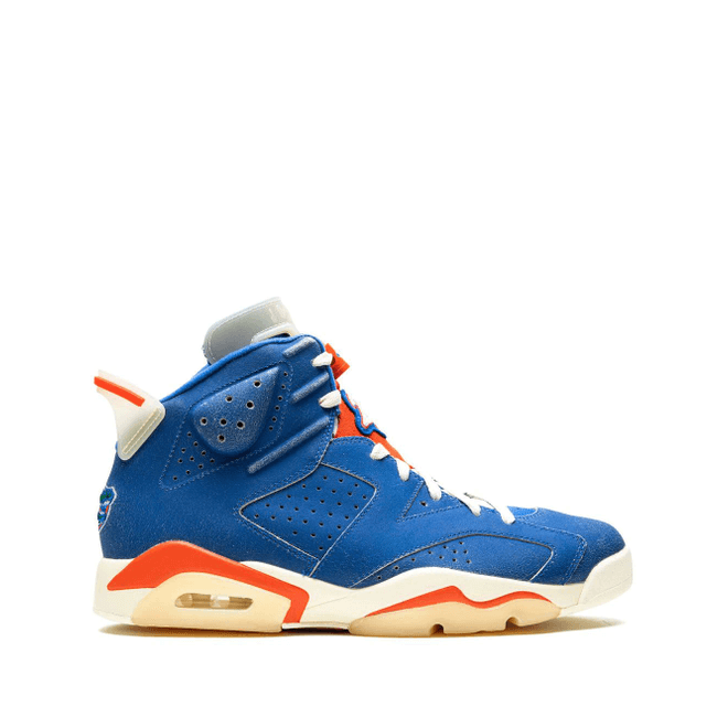 Air Jordan 6 Florida PE