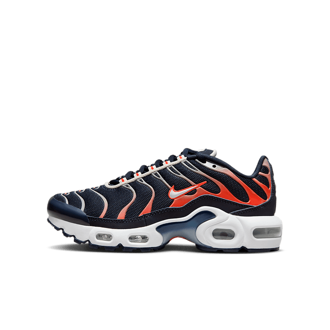 Nike Air Max Plus