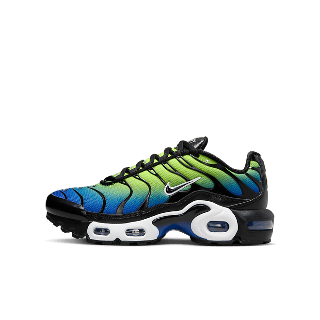 Nike Air Max Plus Older Kids'