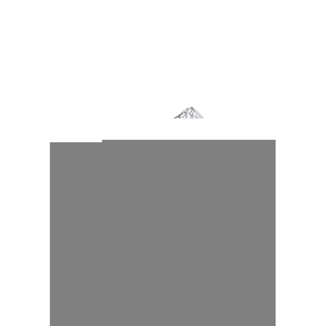 adidas Originals Women's Gazelle Bold