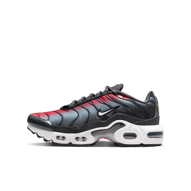 Nike Air Max Plus Big Kids'