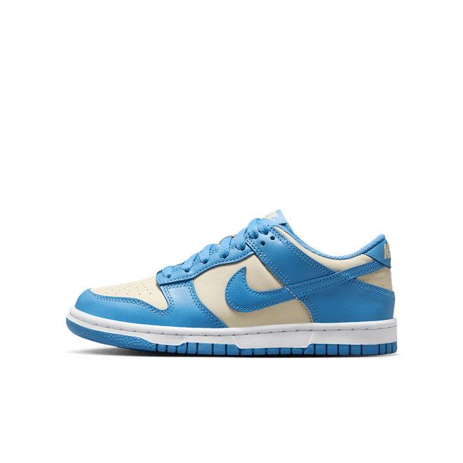 Nike Dunk Low Big Kids'