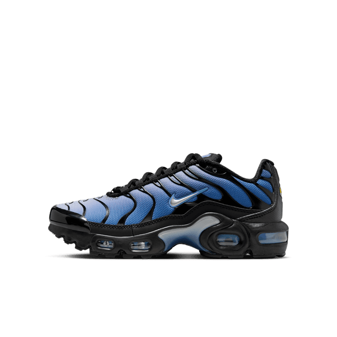 Nike Air Max Plus Older Kids'