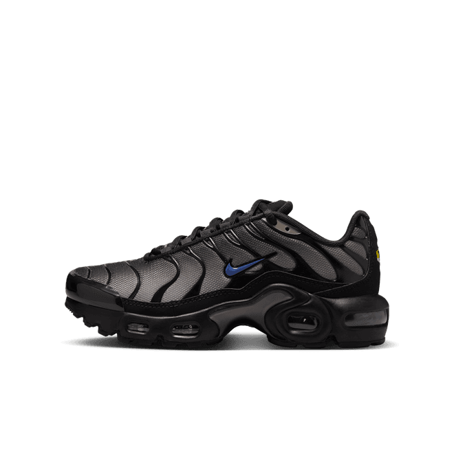 Nike Air Max Plus Older Kids'