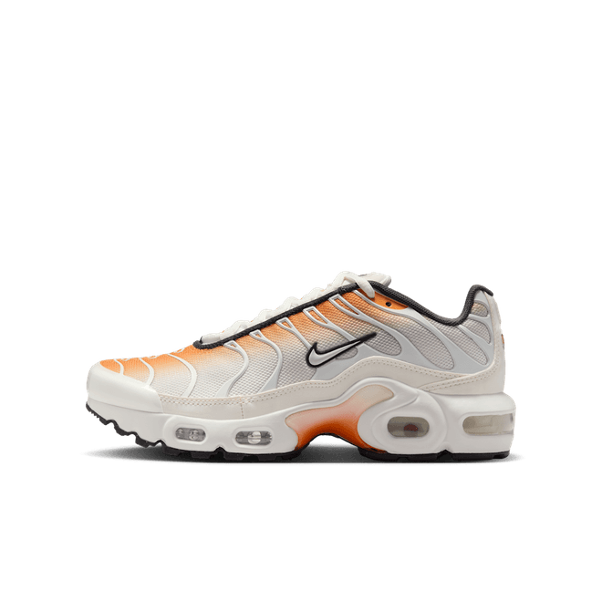 Nike Air Max Plus Older Kids'