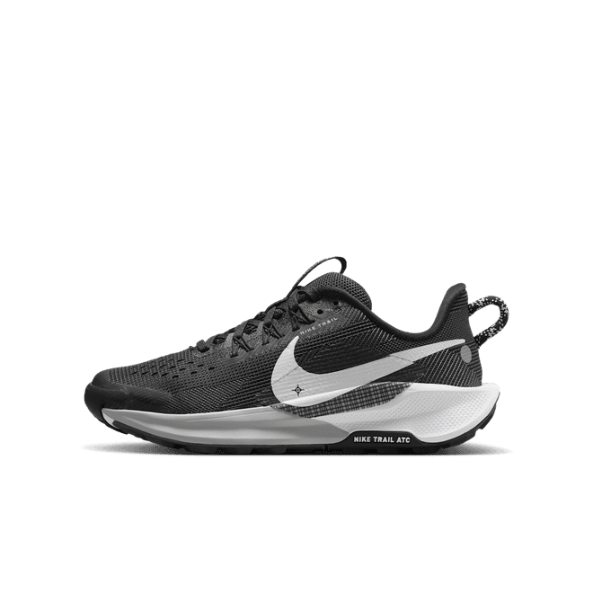Nike Pegasus Trail 5 Big Kids' Trail