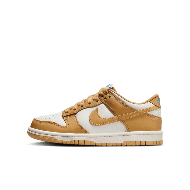 Nike Dunk Low Big Kids'