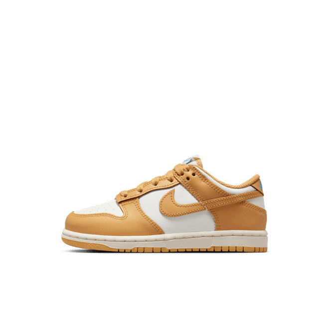 Nike Dunk Low Little Kids'
