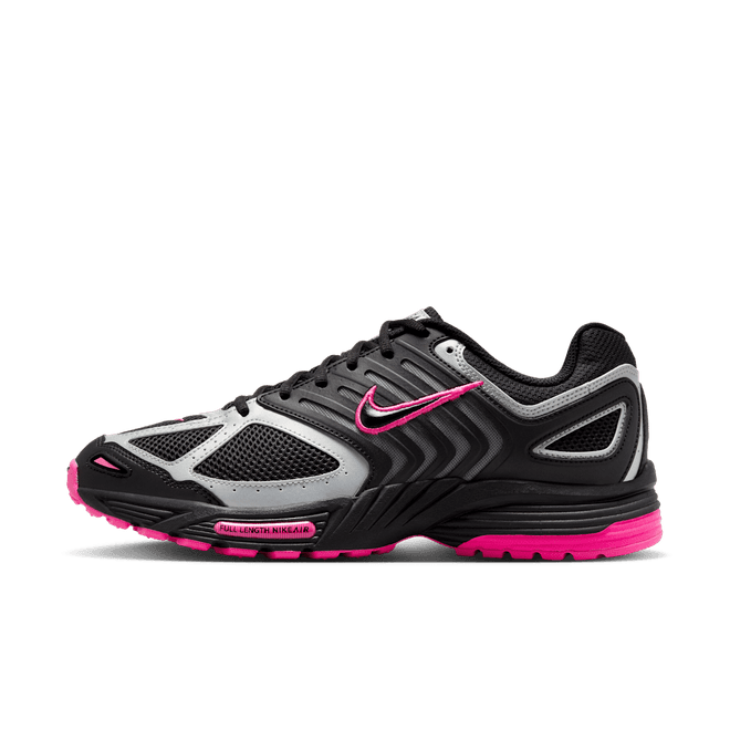 Nike Air Pegasus 2005