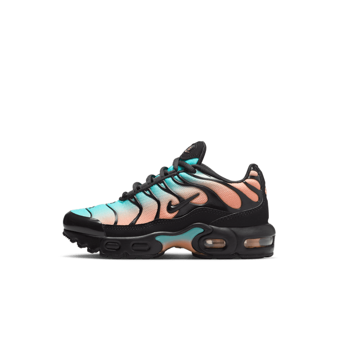 Nike Air Max Plus Younger Kids'