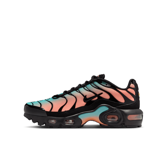 Nike Air Max Plus Older Kids'