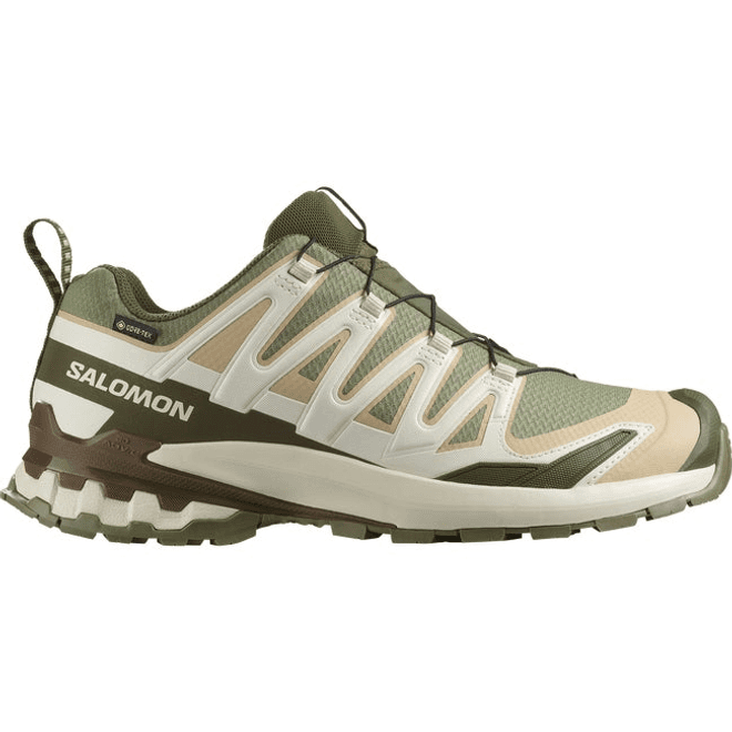 Salomon Xa Pro 3d V9 Gore-tex Deep Lichen Green 