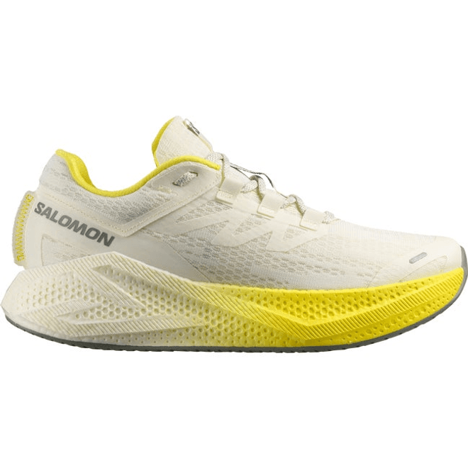 Salomon Aero Glide 3 Vanilla Ice 