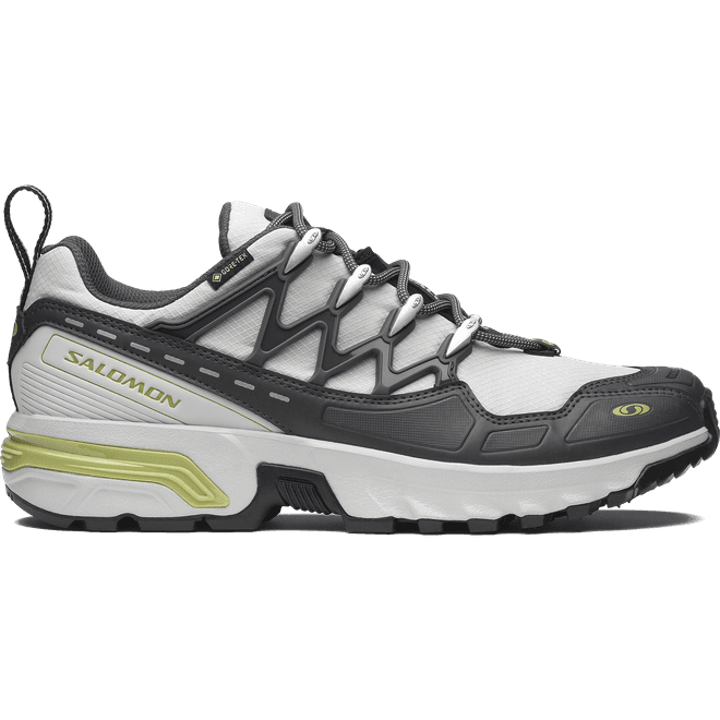 Salomon Acs+ Gore-tex Gray Violet 