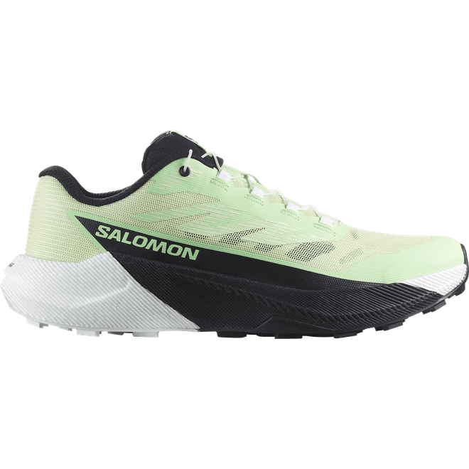 Salomon Pulsar Patina Green 