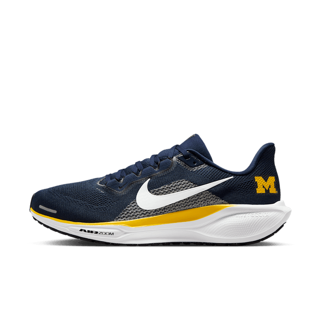 Michigan Pegasus 41 Nike College Road