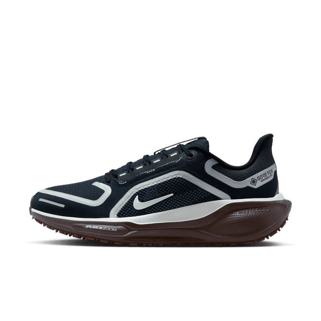 Nike Pegasus 41 GORE-TEX Waterproof Road