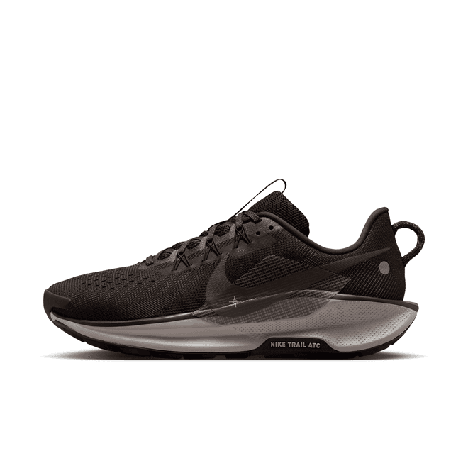 Nike Pegasus Trail 5 Trail