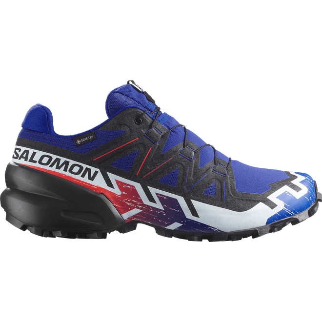 Salomon Speedcross 6 Gtx Equipe 
