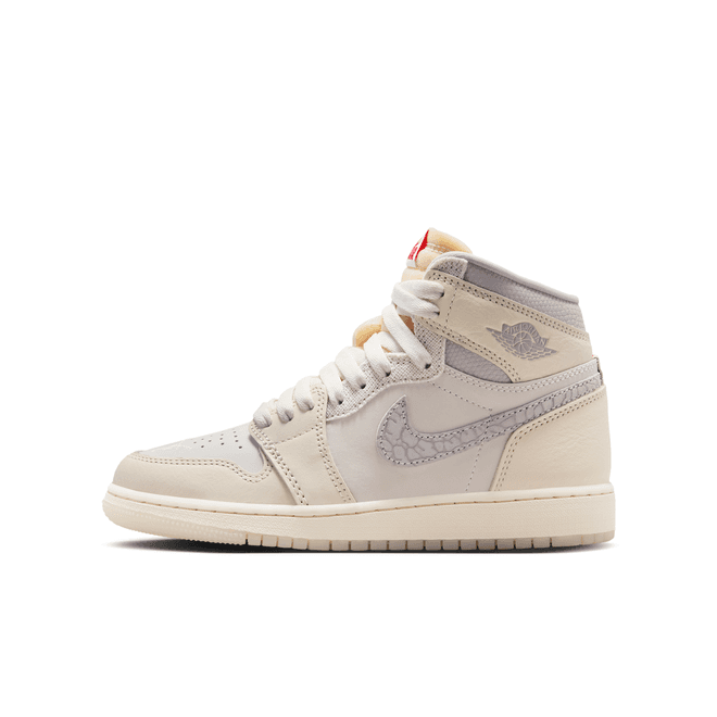 Air Jordan 1 Retro High OG Big Kids'