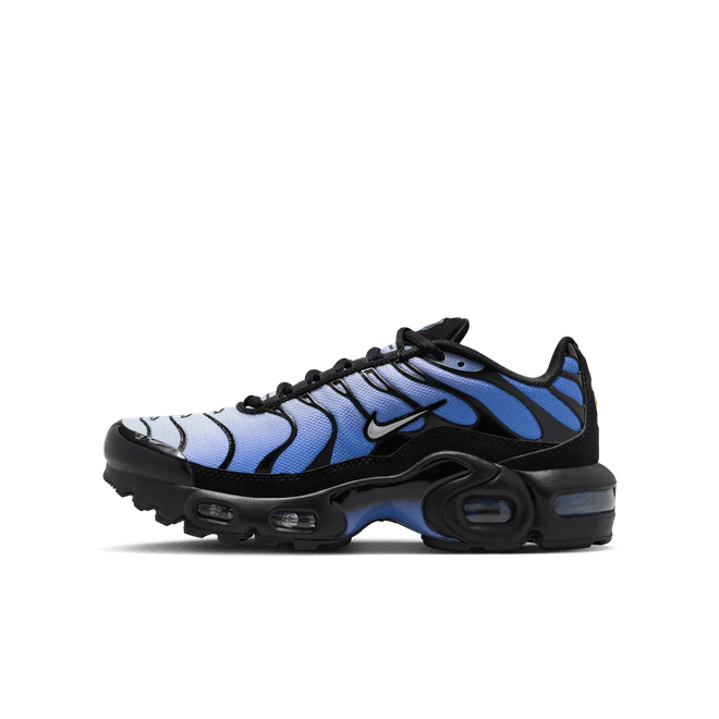 Nike Air Max Plus Older Kids'